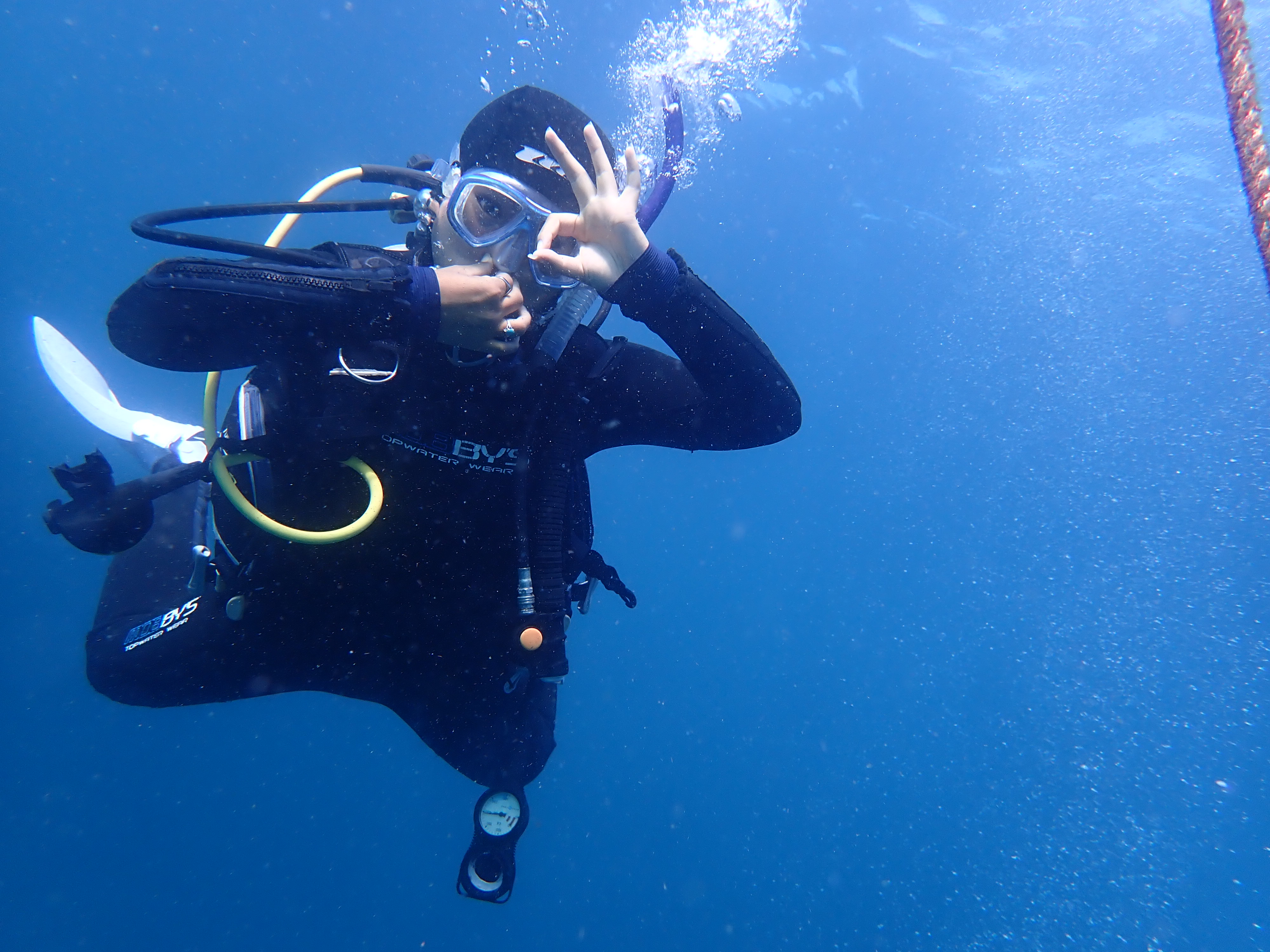 海洋実習で水中を楽しむダイバーたち